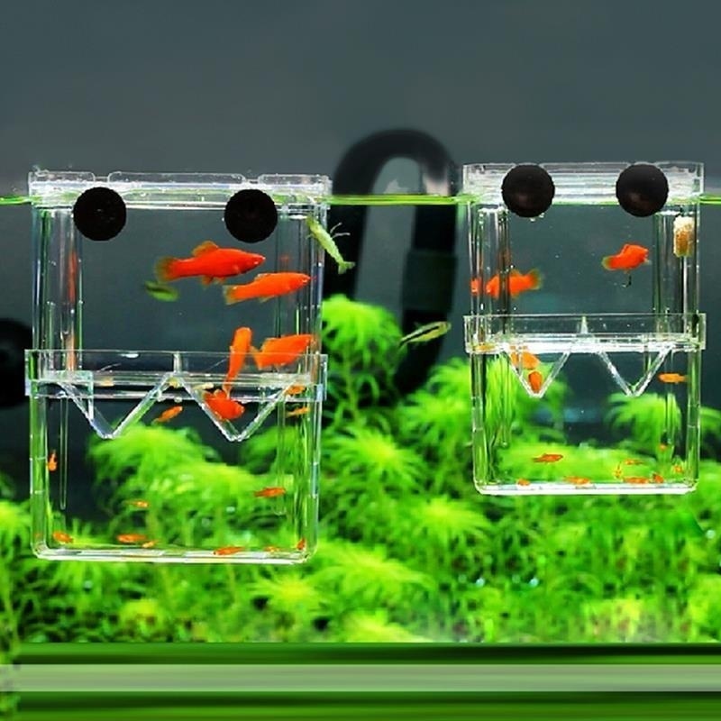 Aquarium Fish Cave - Многофункциональный аквариумный прозрачный изоляционный бокс для