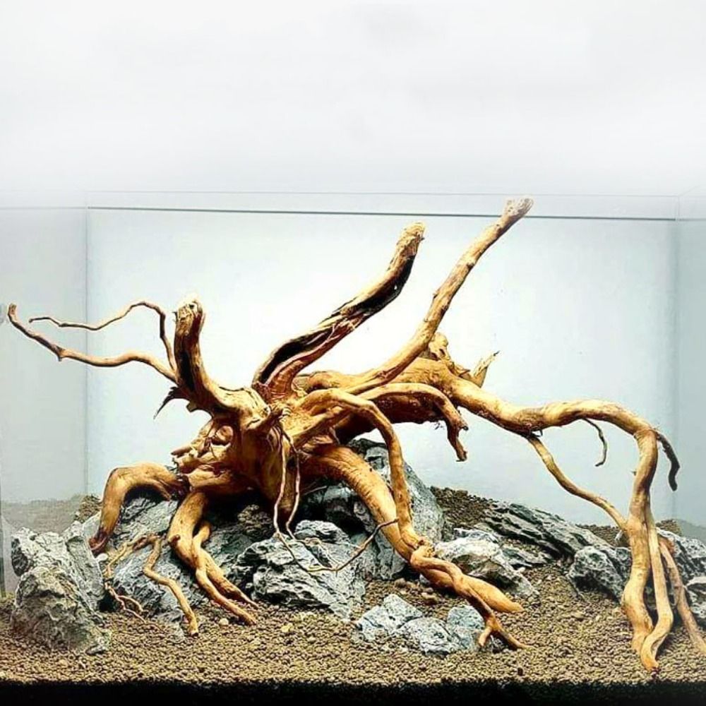 Aquarium Fish Diseases - Натуральный ствол дерева, аквариумное украшение, деревянное