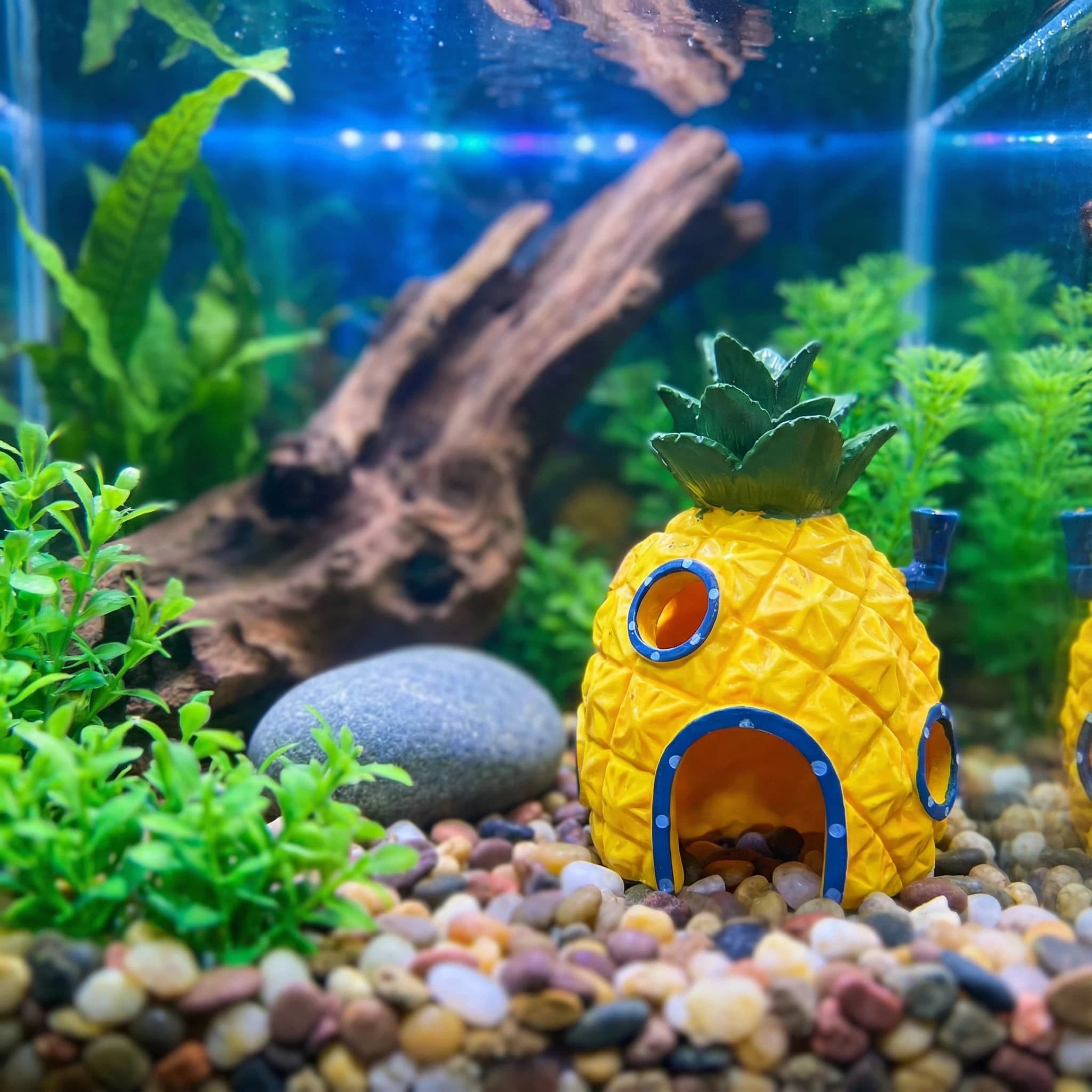 Aquarium Fish Cave - Декор для аквариума «Ананасовый домик», экологически