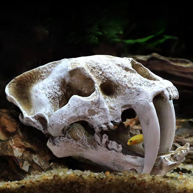 Aquarium Fish Diseases - Оригинальная модель Velociraptor, ископаемый череп из