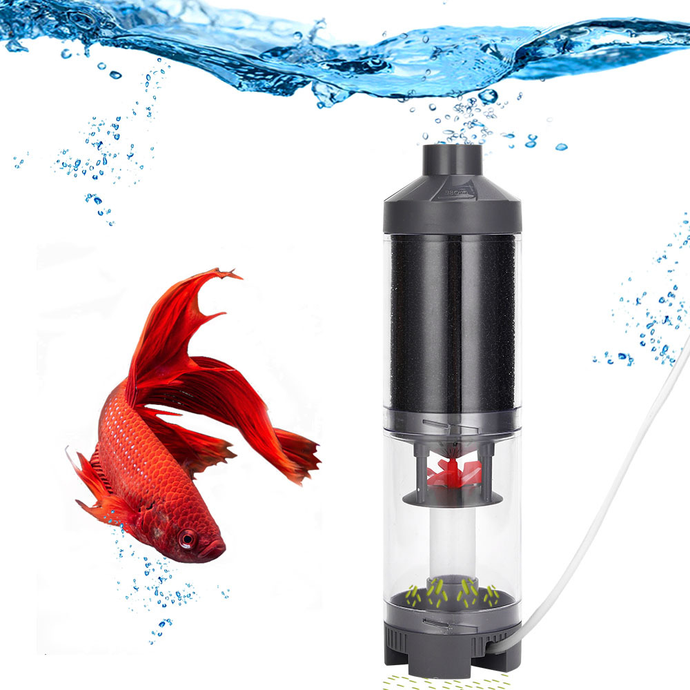 Сборщик рыбных рыбных рыб, кол – обзор и цена Cleaner Fish Aquarium