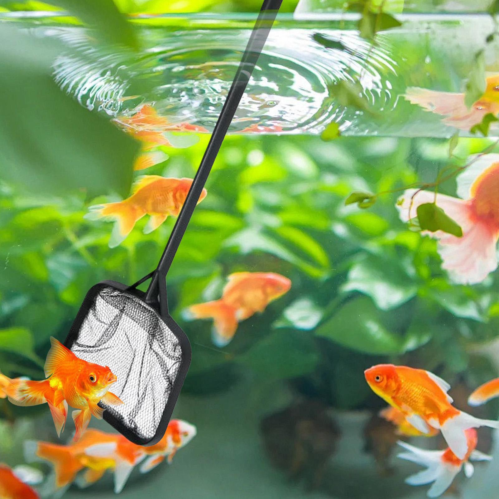 Сетки для чистки бассейнов, по – обзор и цена Cleaner Fish Aquarium