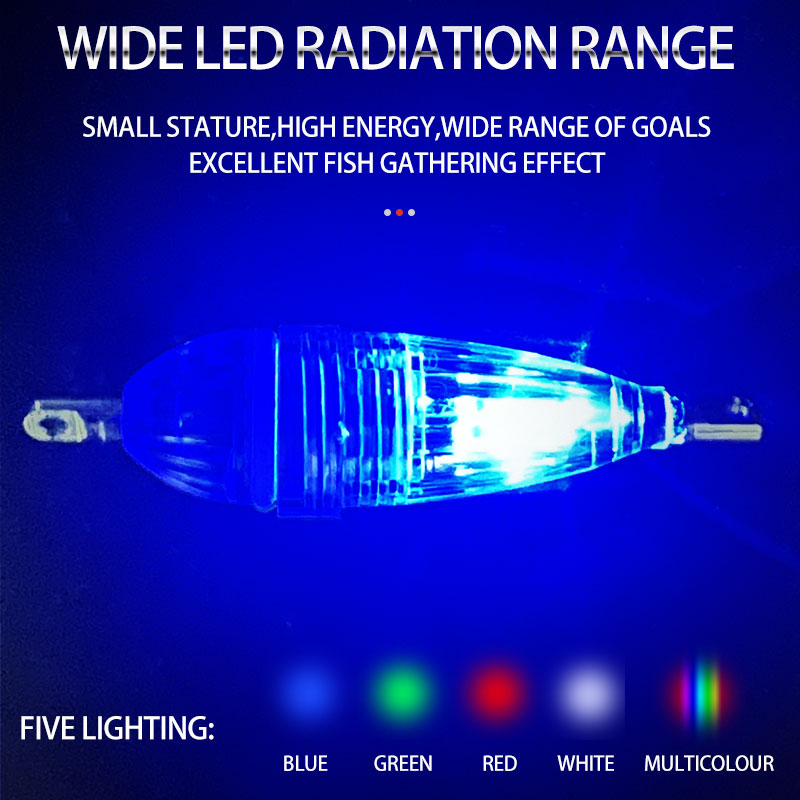 Светящиеся LED-фонари ShareSha – обзор и цена Aquarium Fish Diseases
