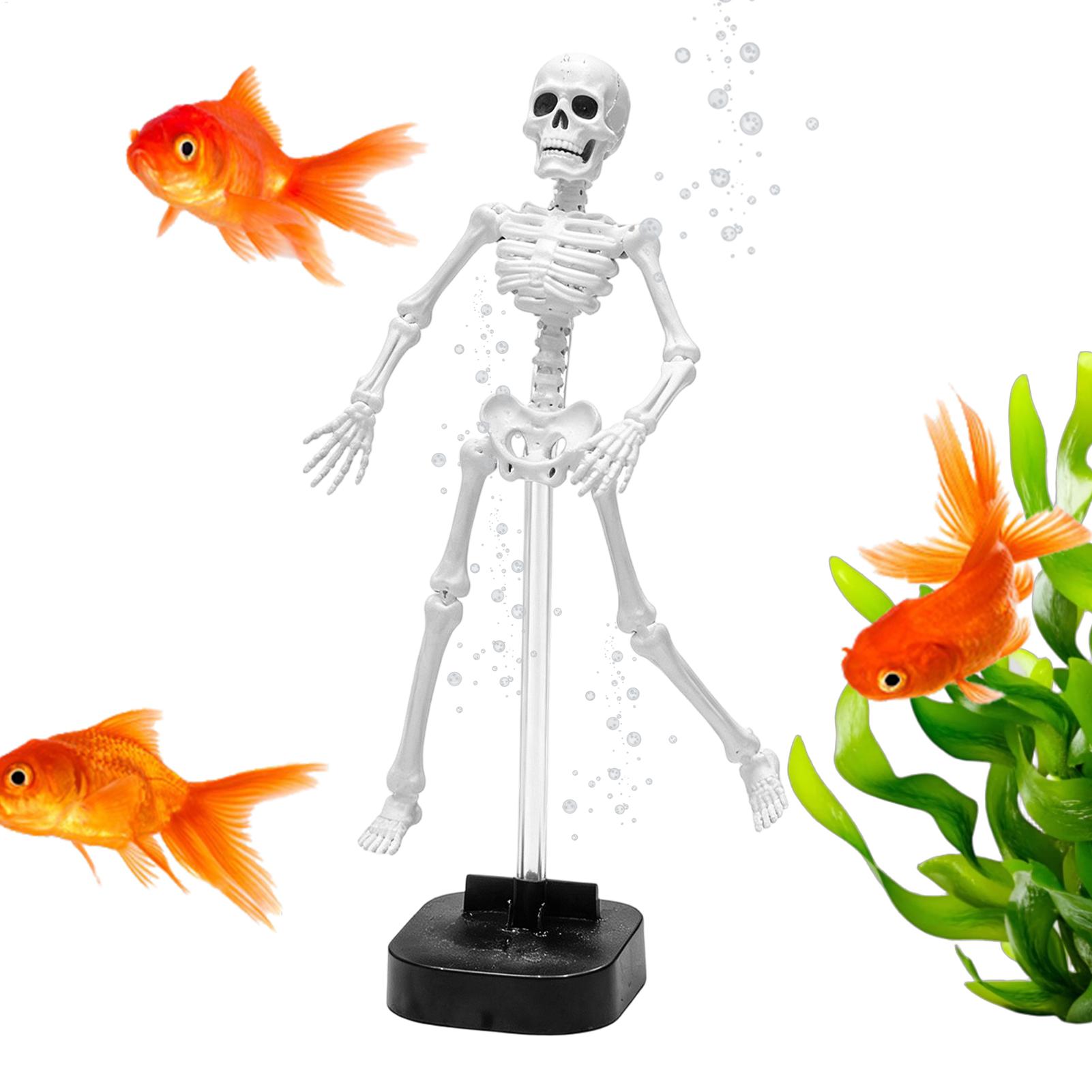Декор для аквариума в виде ске – обзор и цена Aquarium Fish Diseases