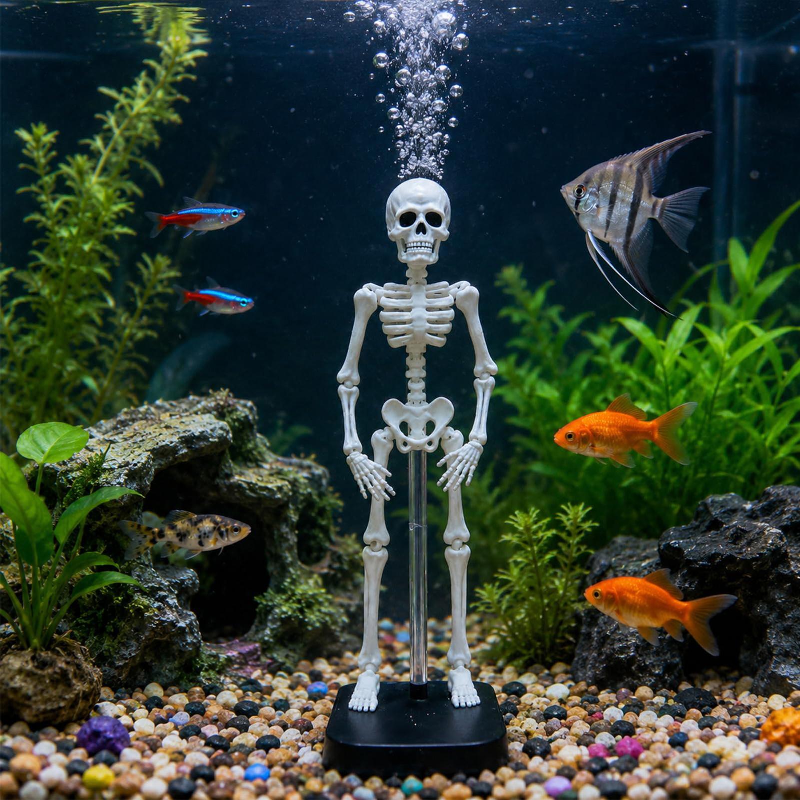 Декор для аквариума в виде ске – обзор и цена Aquarium Fish Diseases
