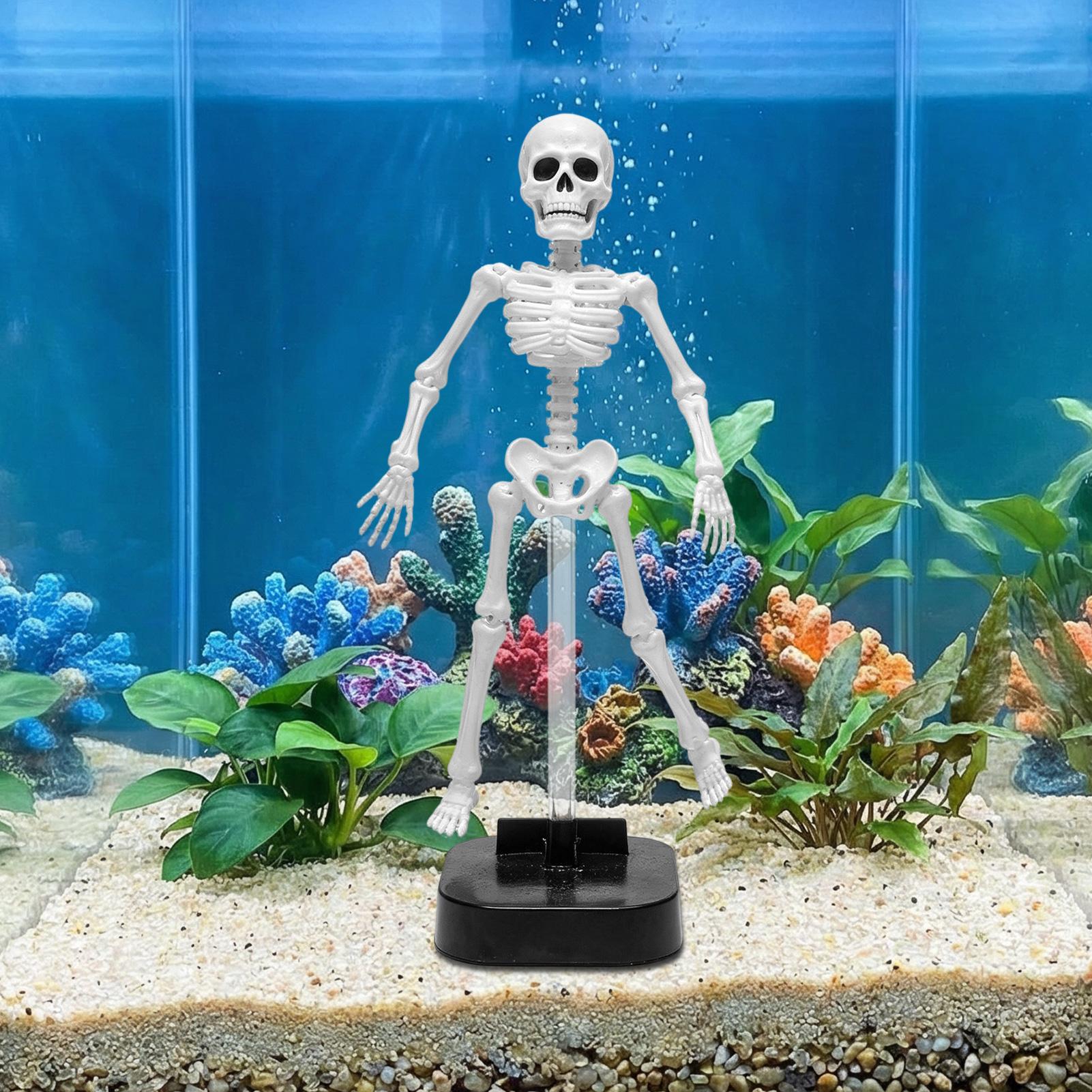 Декор для аквариума в виде ске – обзор и цена Aquarium Fish Diseases