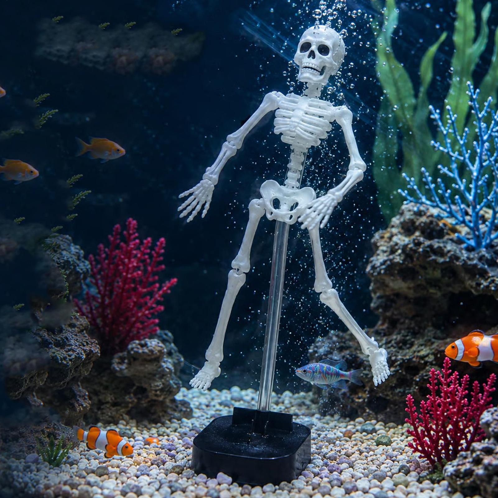 Декор для аквариума в виде ске – обзор и цена Aquarium Fish Diseases