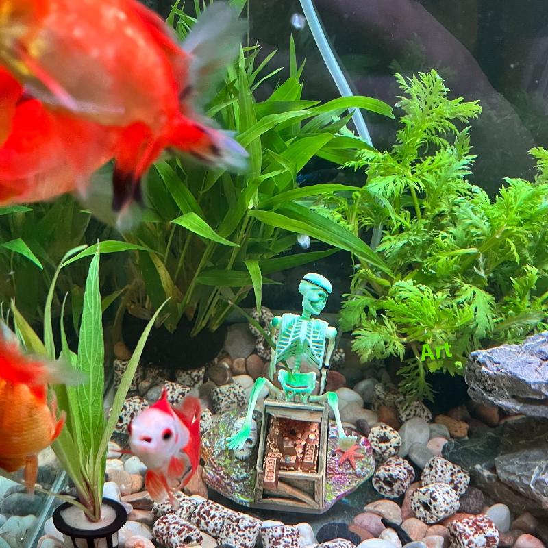 Аквариум, аэробный пейзаж, пуз – обзор и цена Aquarium Fish Diseases