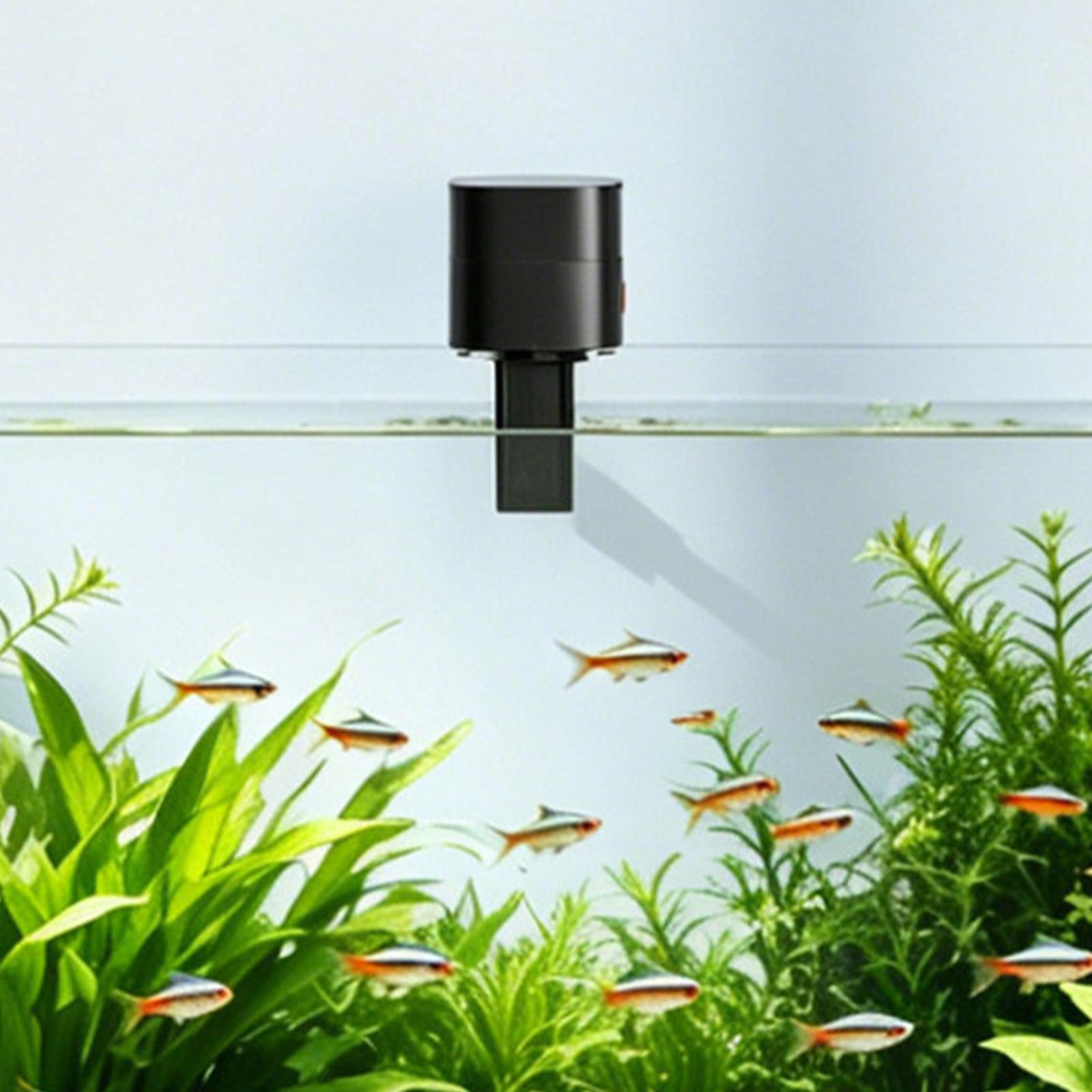 Автоматическая кормушка для ры – обзор и цена Aquarium Fish Auto Feeder