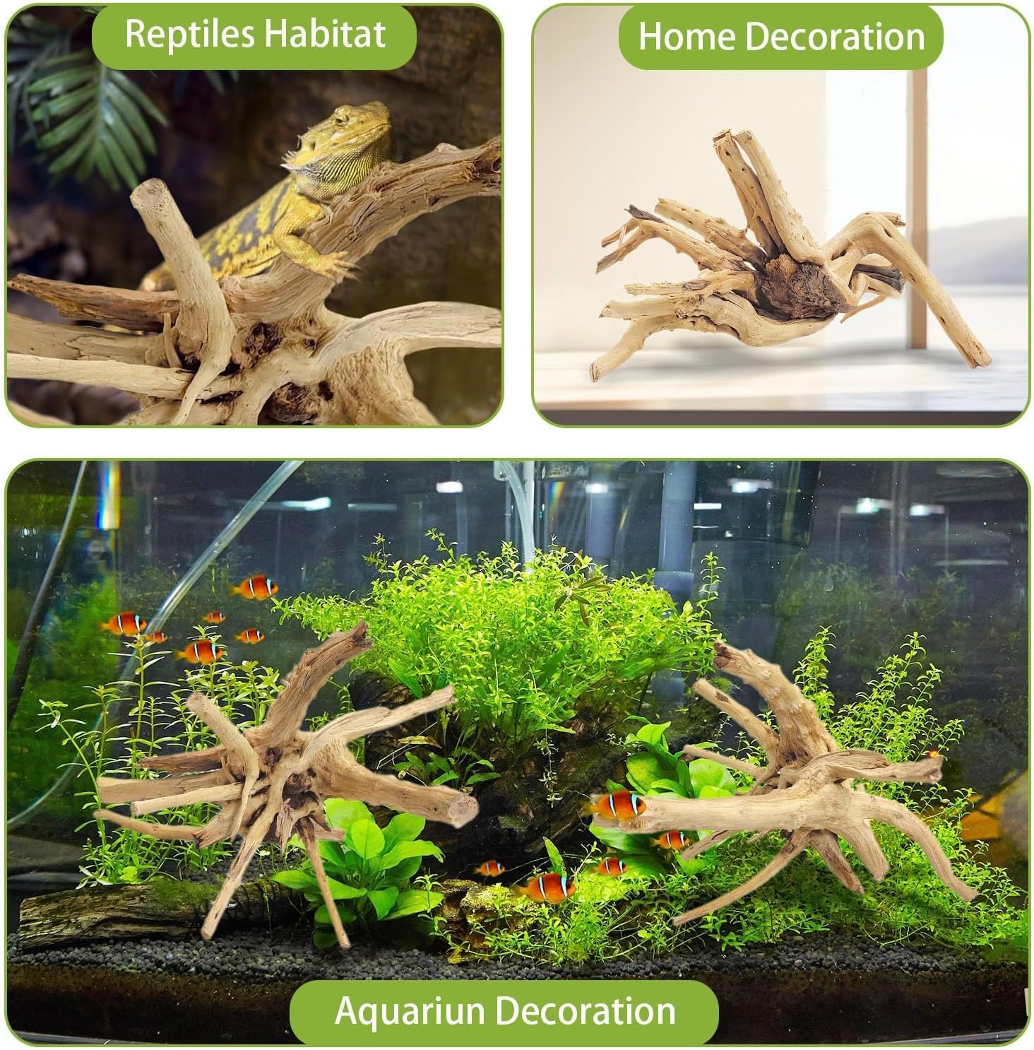 1 шт. 20-25 см натуральная кор – обзор и цена Aquarium Fish Diseases