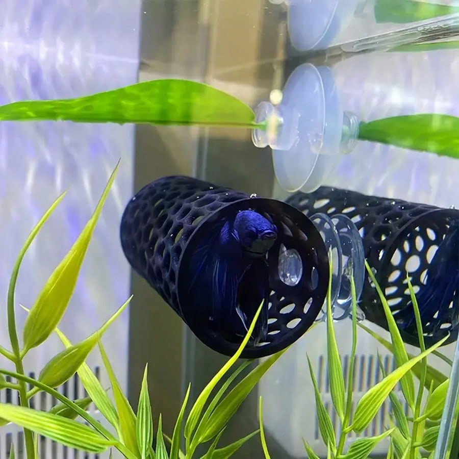 Укрытие для рыбок Бетта: полая – обзор и цена Aquarium Fish Hideout