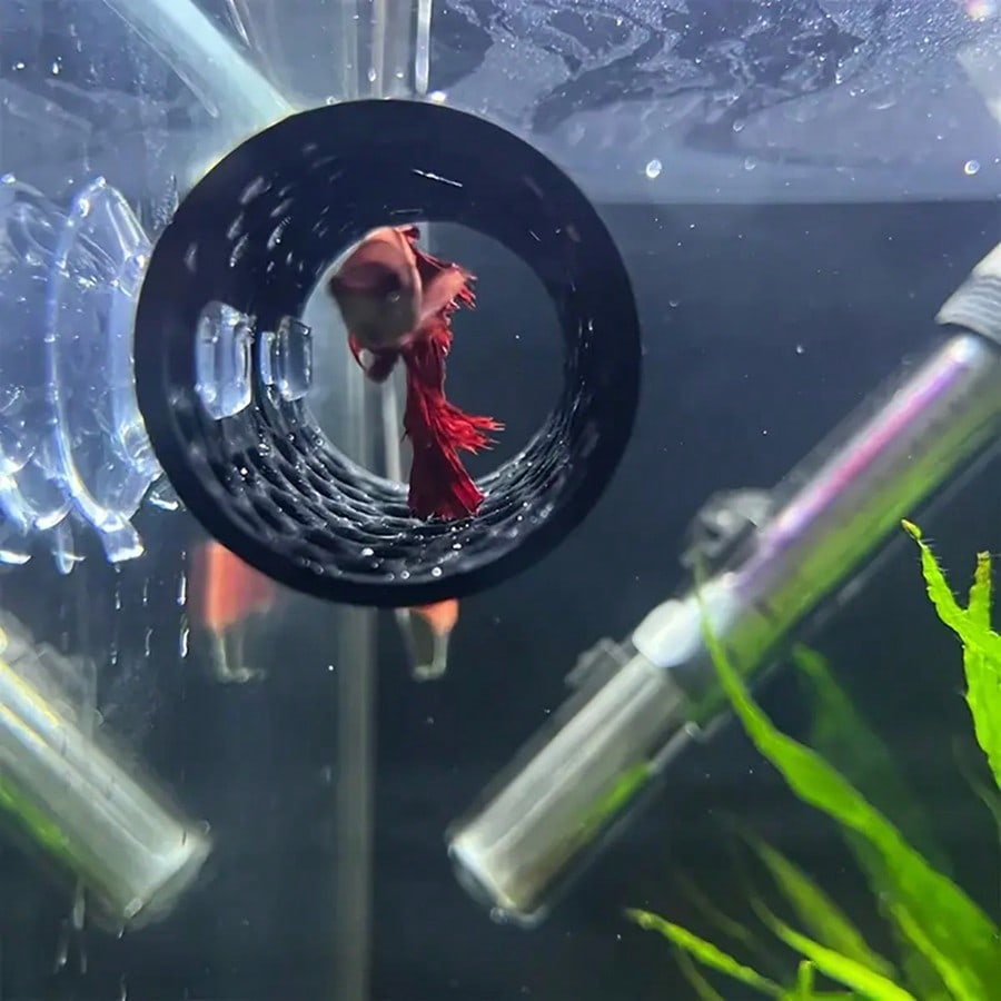 Укрытие для рыбок Бетта: полая – обзор и цена Aquarium Fish Hideout