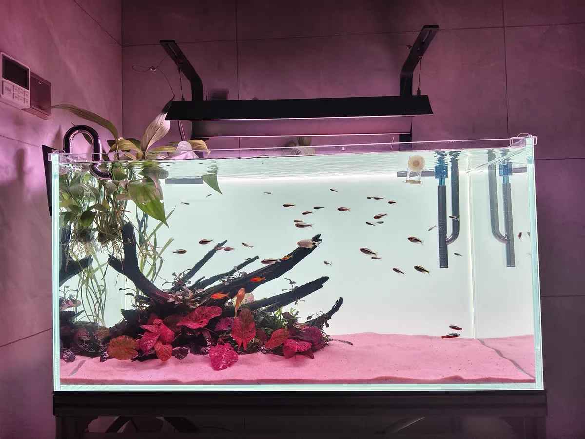 RGB-подсветка для аквариума из – обзор и цена Aquarium Fish Colour