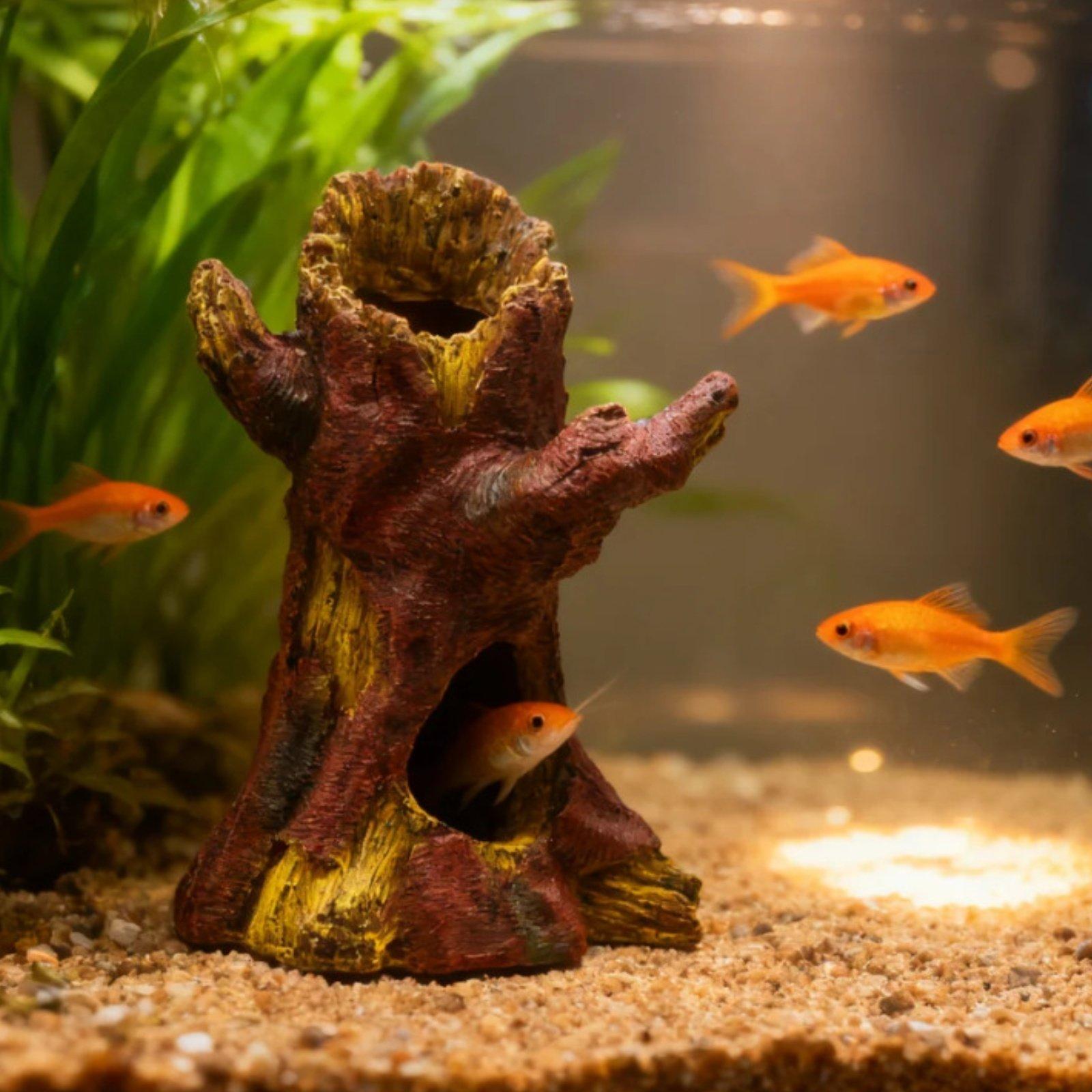 Декор для аквариума: Декоратив – обзор и цена Aquarium Fish Tank