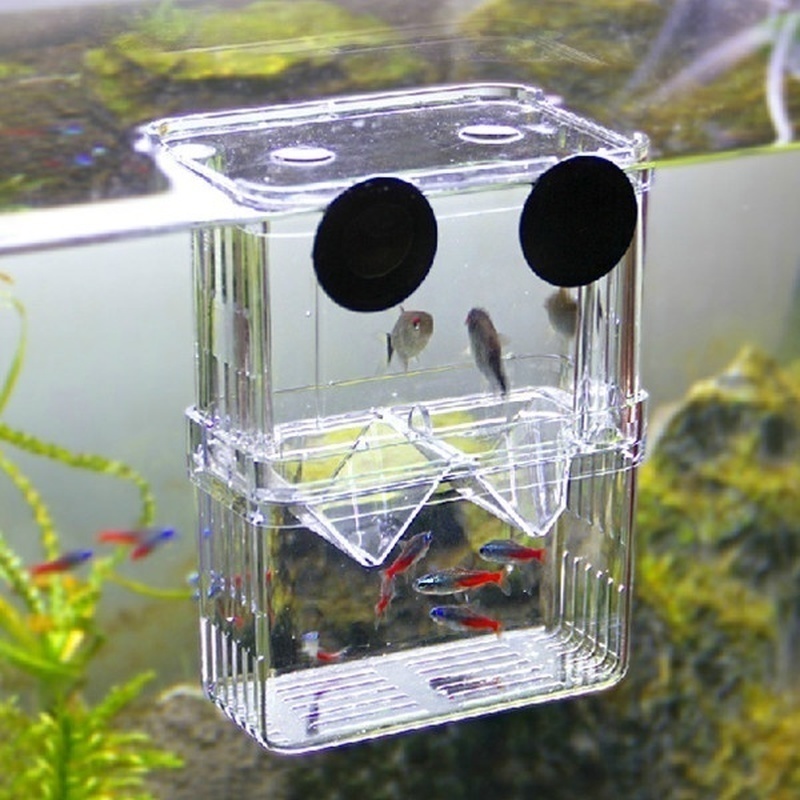 Многофункциональный аквариумны – обзор и цена Aquarium Fish Cave