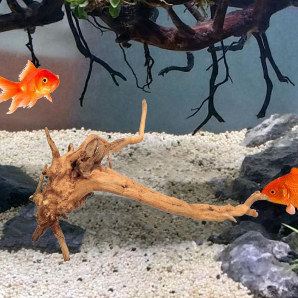 Натуральный ствол дерева, аква – обзор и цена Aquarium Fish Diseases