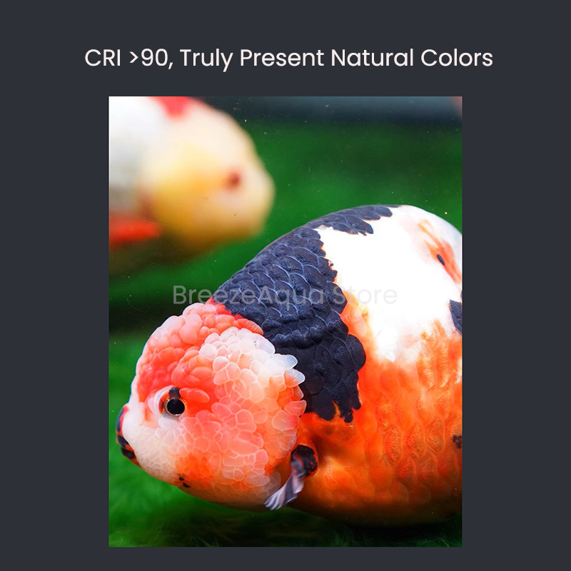 MAYIN супер цвет 100 Вт пресно – обзор и цена Aquarium Fish Colour