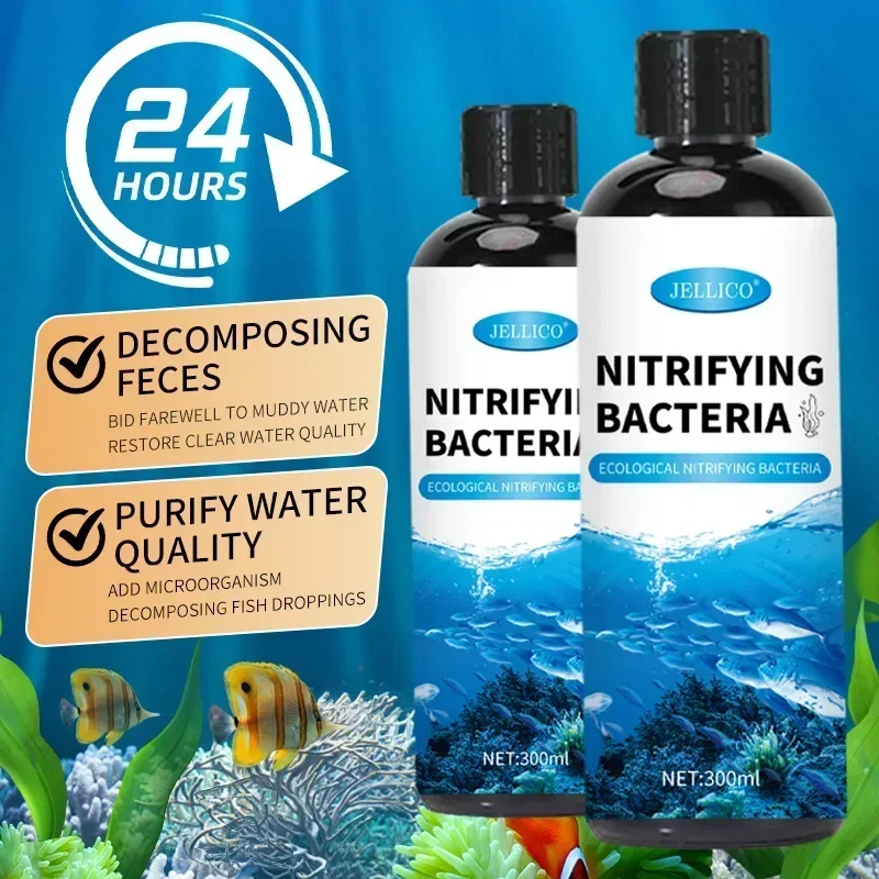 300 мл нитрифицирующие бактери – обзор и цена Aquarium Fish Diseases