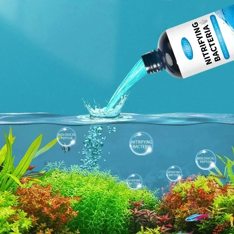 300 мл нитрифицирующие бактери – обзор и цена Aquarium Fish Diseases