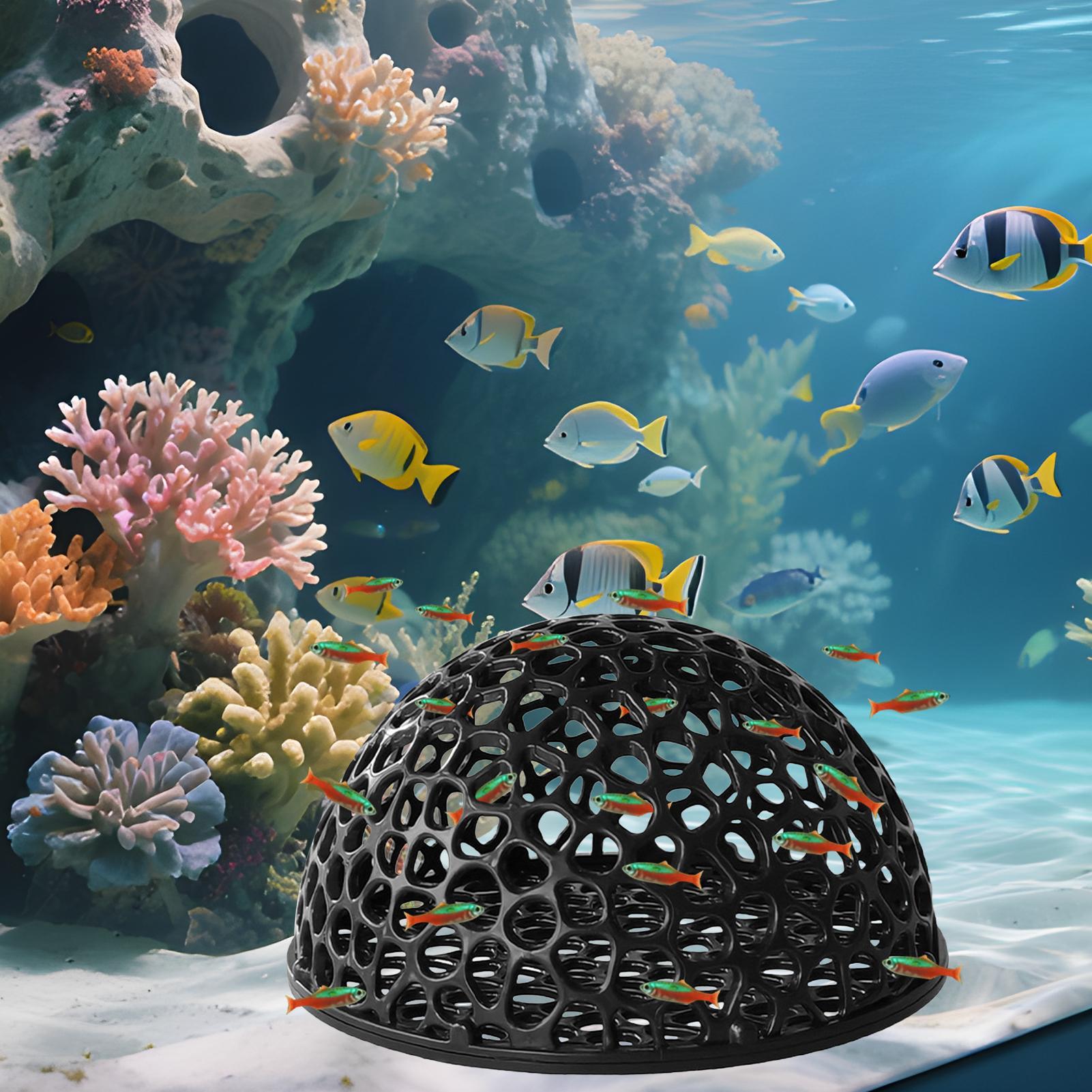 Аквариумный домик для креветок – обзор и цена Aquarium Fish Hiding Spot