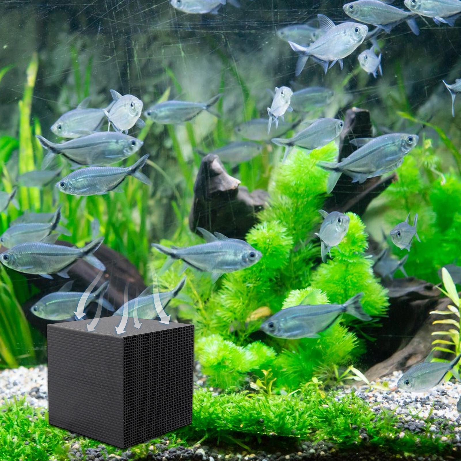 Очиститель воды в аквариуме, к – обзор и цена Aquarium Fish Cave
