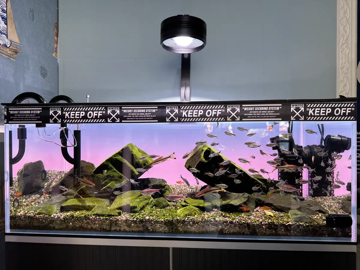 RGB акриловый фон для аквариум – обзор и цена Aquarium Fish Colour