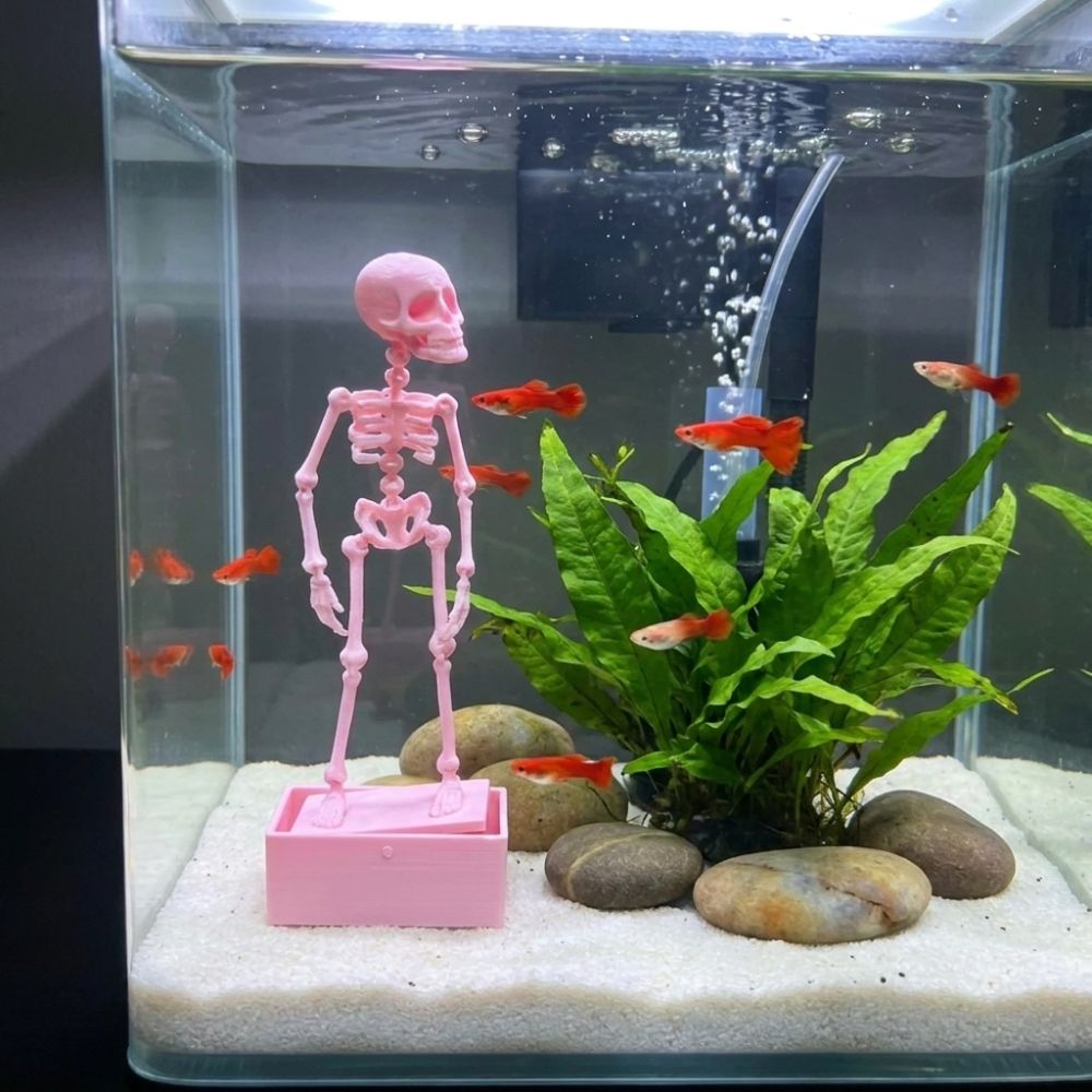 3D-печатный танцующий скелет-а – обзор и цена Aquarium Fish Diseases