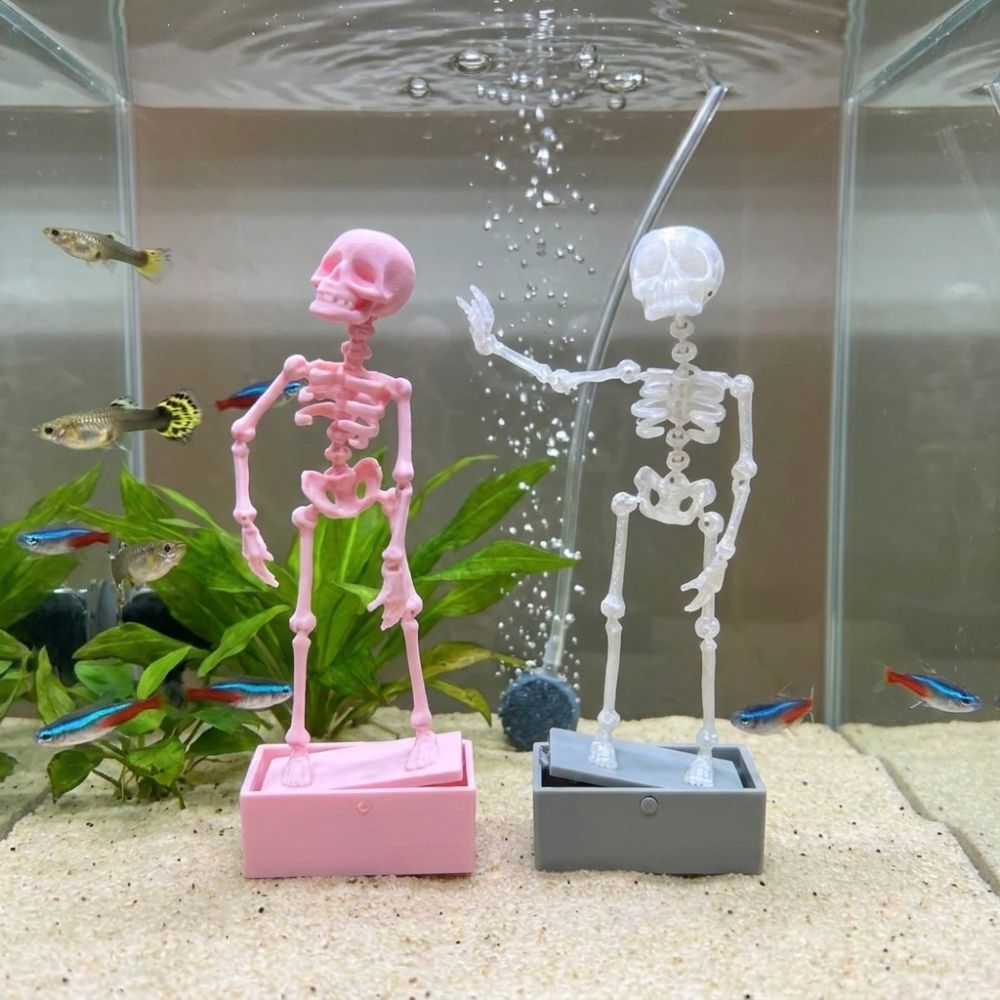3D-печатный танцующий скелет-а – обзор и цена Aquarium Fish Diseases