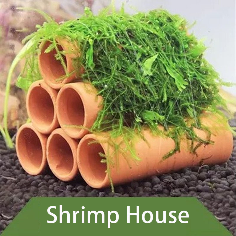 Глиняное украшение для аквариу – обзор и цена Aquarium Fish Hideout