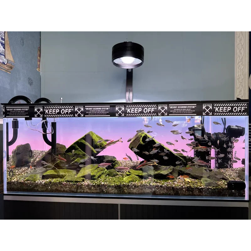 RGB-подсветка для аквариума из – обзор и цена Aquarium Fish Colour