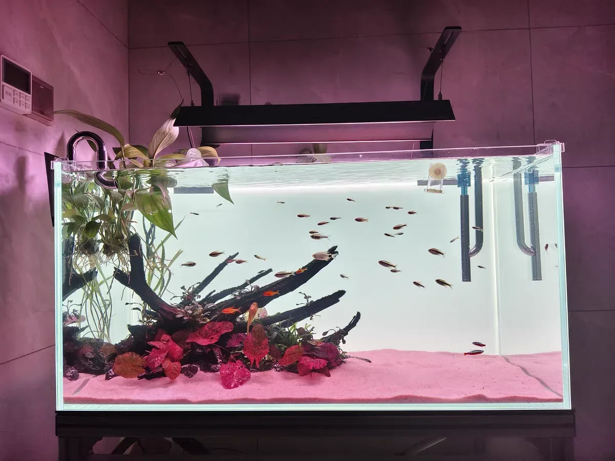 RGB акриловый фон для аквариум – обзор и цена Aquarium Fish Colour