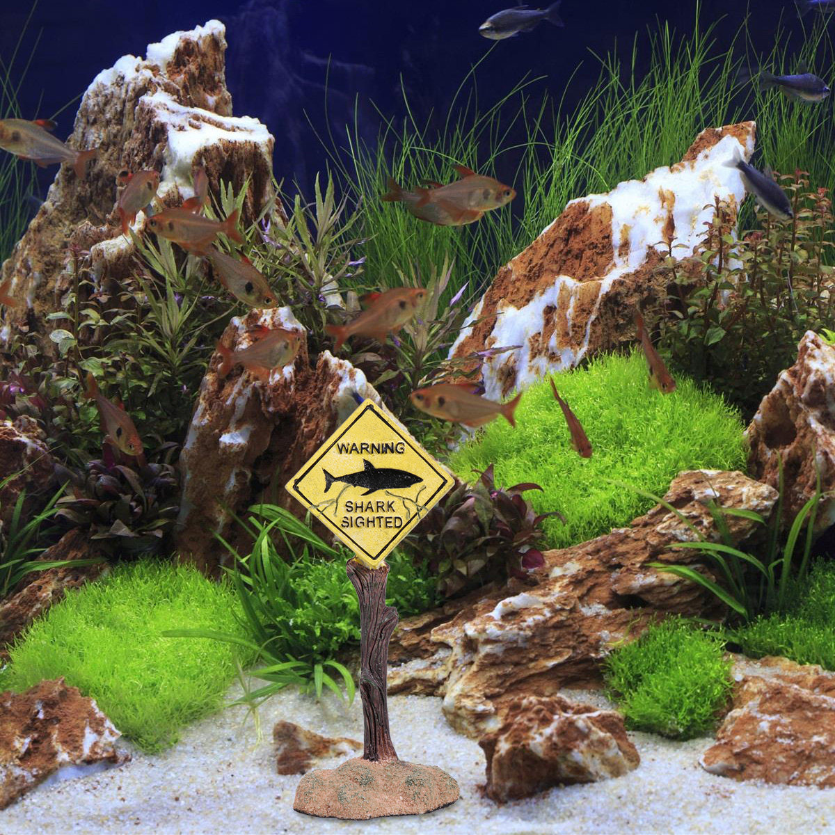 Мультяшный предупредительный з – обзор и цена Aquarium Fish Yellow