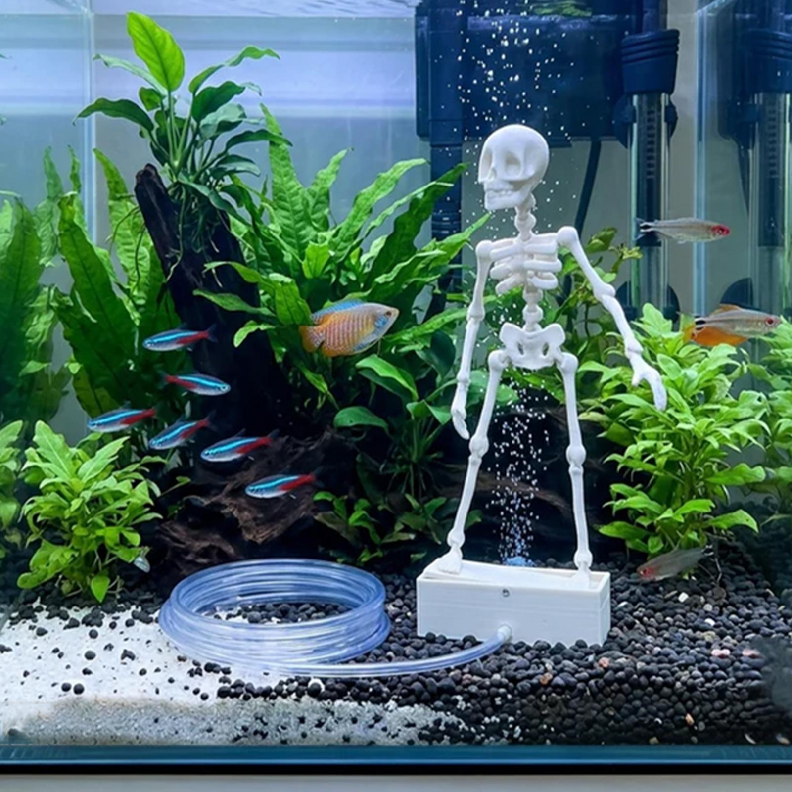 Креативные декорации для аквар – обзор и цена Aquarium Fish Diseases