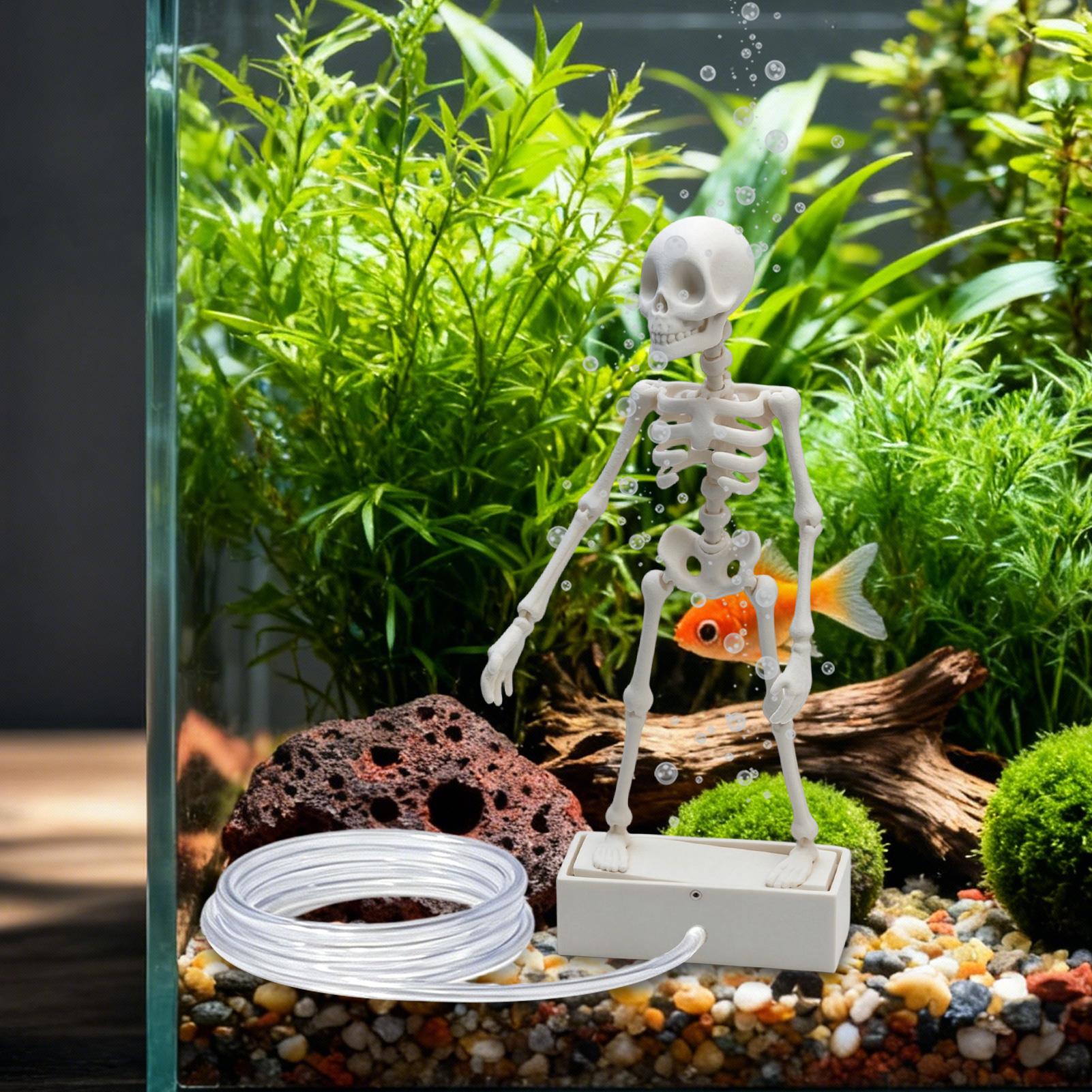 Креативные декорации для аквар – обзор и цена Aquarium Fish Diseases