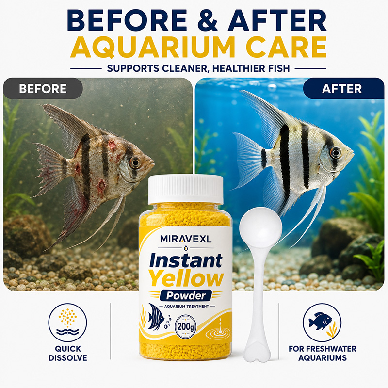 MIRAVEXL Быстрорастворимый Жел – обзор и цена Aquarium Fish Yellow