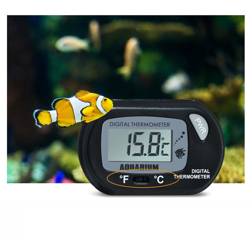 1 шт. 58*37 мм цифровой термом – обзор и цена Aquarium Fish Yellow