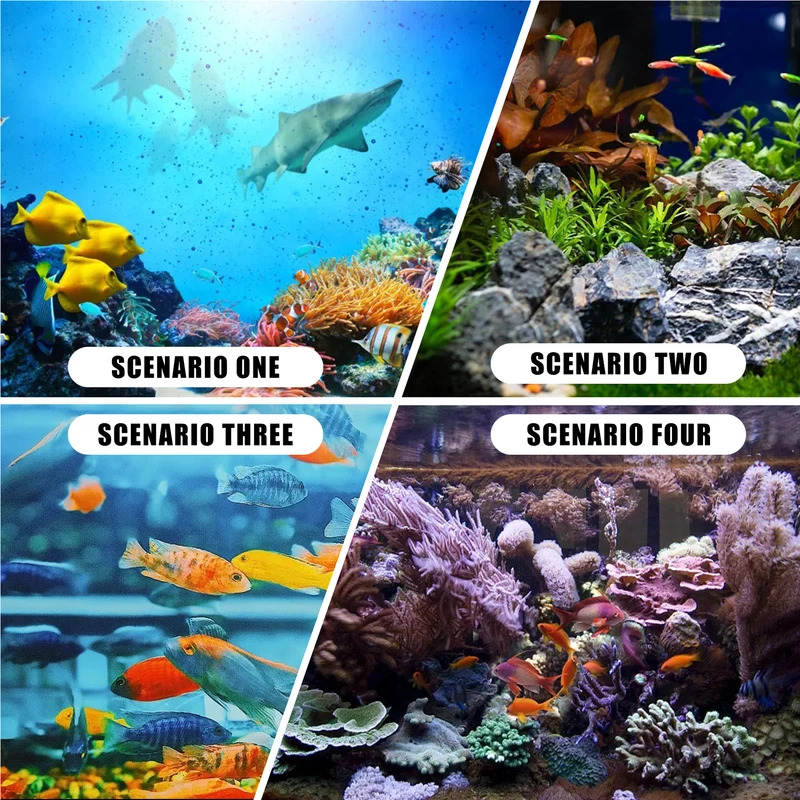 Аквариум Коралл Моделирование  – обзор и цена Aquarium Fish Colour