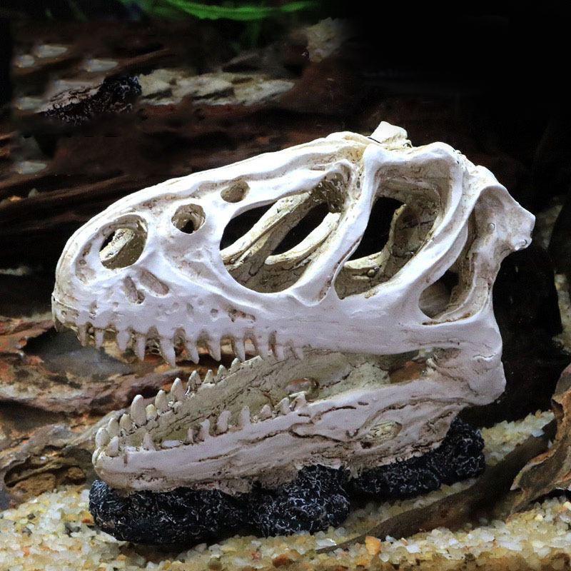 Оригинальная модель Velocirapt – обзор и цена Aquarium Fish Diseases