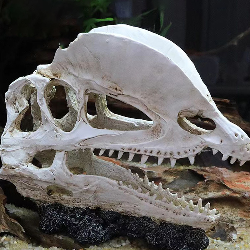 Оригинальная модель Velocirapt – обзор и цена Aquarium Fish Diseases