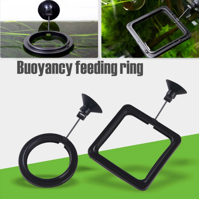 Кольцо-кормушка для аквариумны – обзор и цена Aquarium Fish Auto Feeder