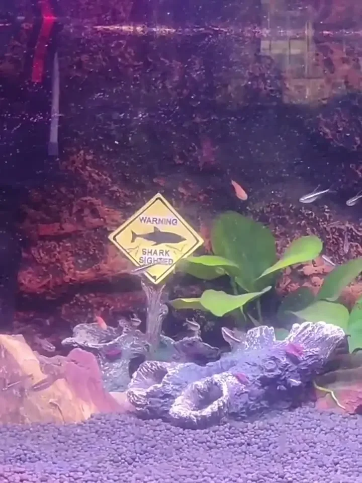 Декоративные украшения для акв – обзор и цена Aquarium Fish Shark